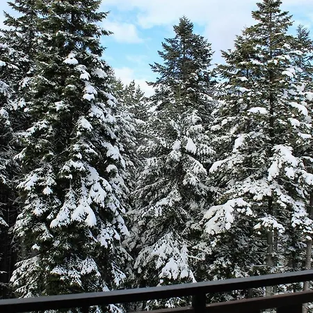 Lejlighed Alpine Luxury Two Bed-two Bathrooms B25 *