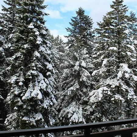 Apartman Alpine Luxury Two Bed-two Bathrooms B25 *