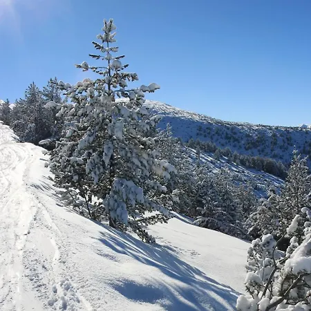 Apartmán Alpine Luxury Two Bed-two Bathrooms B25 *