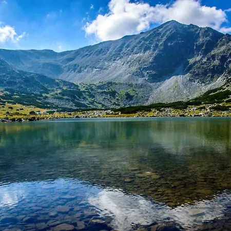 Lägenhet Alpine Luxury Two Bed-two Bathrooms B25