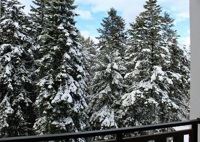 Apartament Alpine Luxury Two Bed-two Bathrooms B25 *